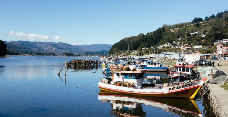 High School Fishing Competition Ends In Boat Crash Tragedy Leaving 6 Injured