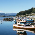 High School Fishing Competition Ends In Boat Crash Tragedy Leaving 6 Injured