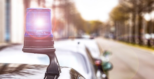 Reality TV Star Accused of Disorderly Conduct and Disrupting Governmental Operations