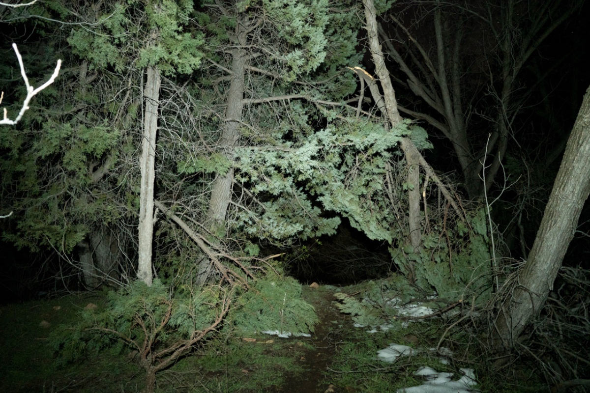 Hiking Influencer Found Dead in Wilderness: Ali Leiniö Was 49