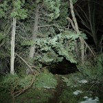 hiking-influencer-found-dead-in-wilderness-ali-leinio-was-49