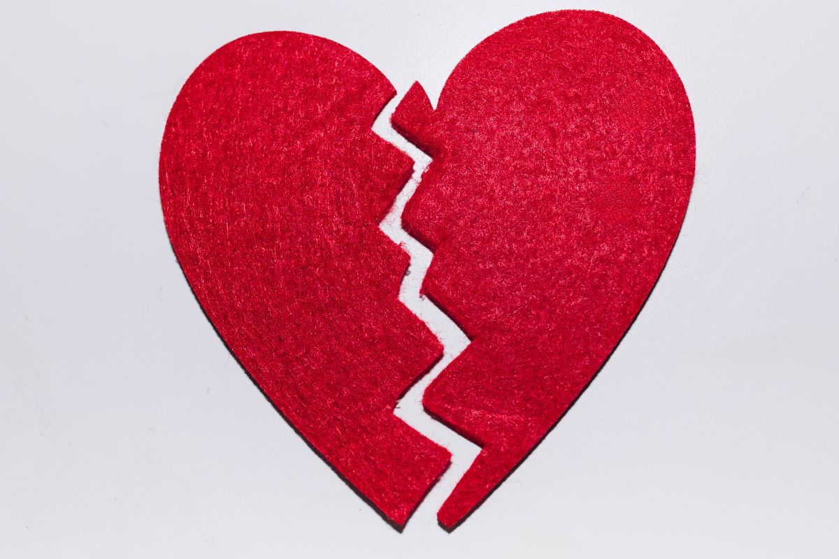 instagram-dog-mom-says-ex-took-custody-of-famed-canines-after-breakup-refuses-to-let-her-buy-them-back