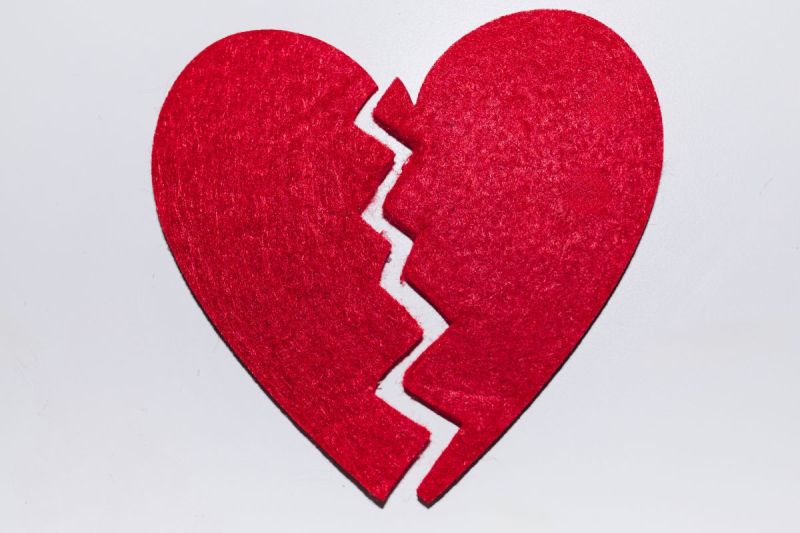 instagram-dog-mom-says-ex-took-custody-of-famed-canines-after-breakup-refuses-to-let-her-buy-them-back