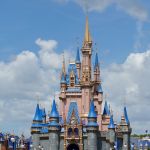 man-firework-incident-walt-disney-world