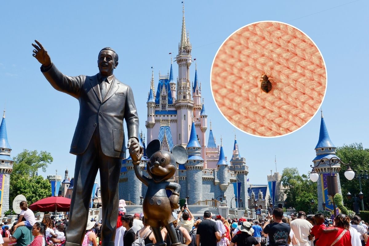 Walt Disney World Hit With Lawsuit Over Alleged Resort Bed Bug Infestation
