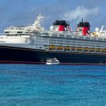 disney-cruise-line-crew-members-among-those-arrested-over-alleged-heinous-crime