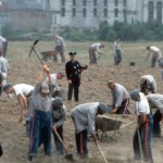 shawshank-redemption-and-gilmore-girls-actor-dead-at-87-rip-to-dion-anderson