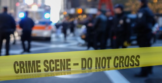 Millionaire CEO Killed in Plane Crash Investigation Underway Into Joshua Baer's Death