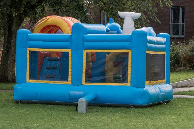 reality-tv-personalitys-4-year-old-son-hospitalized-after-bouncy-castle-accident