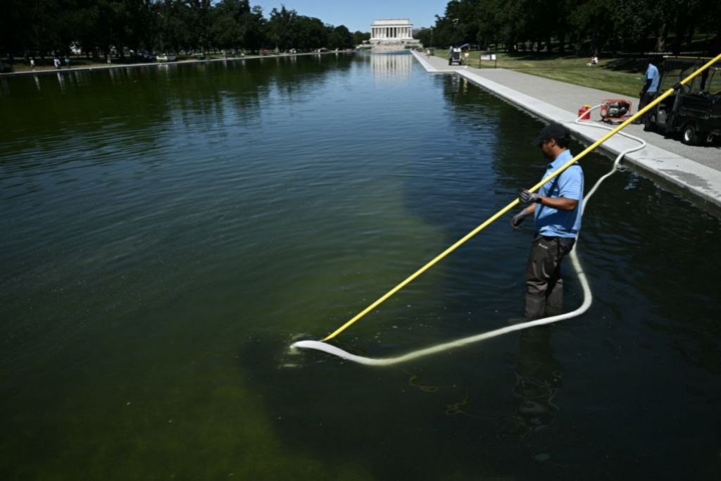 trump-administration-blames-obama-for-why-american-flag-blue-reflecting-pool-is-now-green2