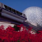 walt-disney-world-guest-arrested-for-allegedly-attacking-cast-member-over-dining-dispute