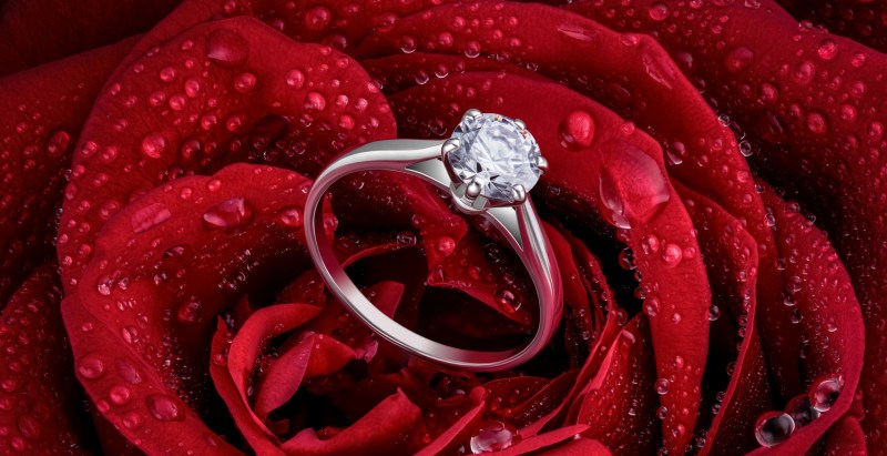 Hollywood Icon's Grandson Gets Engaged to Celebrity Influencer