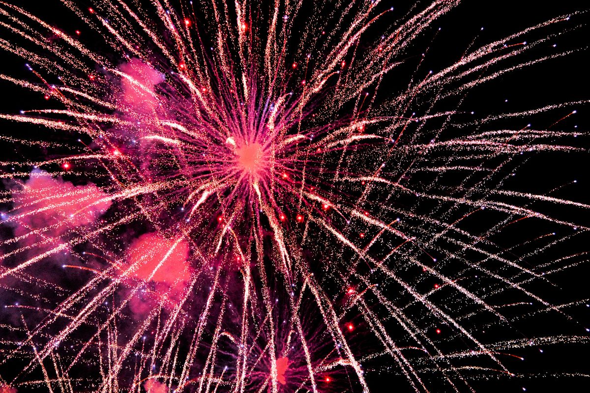 dog-the-bounty-hunters-son-reveals-scary-fireworks-mishap-5-years-was-taken-off-my-life