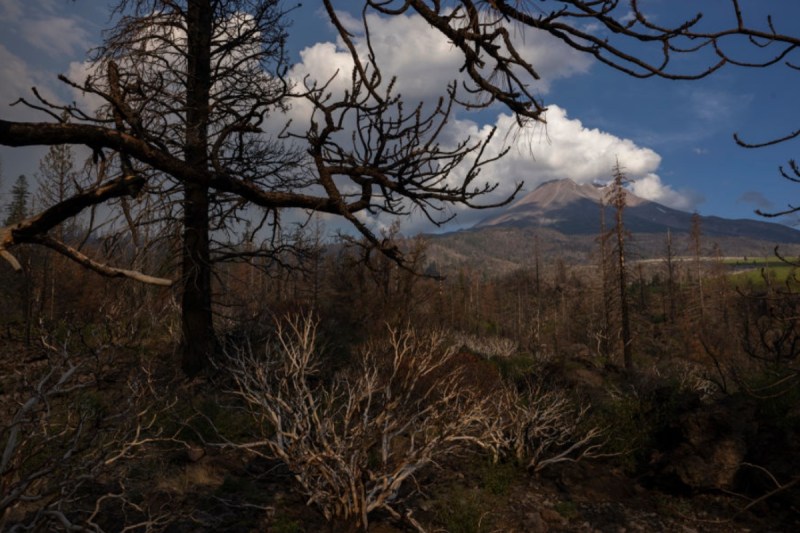 father-and-son-accused-of-holding-2-federal-workers-at-gunpoint-for-hours-in-california-forest