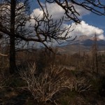 father-and-son-accused-of-holding-2-federal-workers-at-gunpoint-for-hours-in-california-forest
