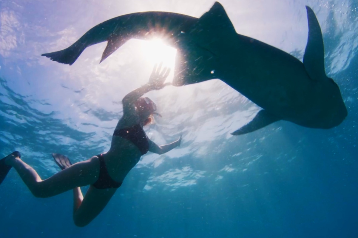 Woman With ‘Shark Boyfriend’ to Be Profiled in ‘My Strange Shark Addiction’ Special