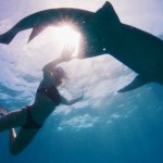 woman-with-shark-boyfriend-to-be-profiled-in-my-strange-shark-addiction-special
