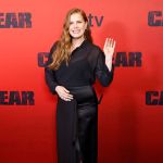 Amy Adams Once Help Saved a Stabbing Victim's Life
