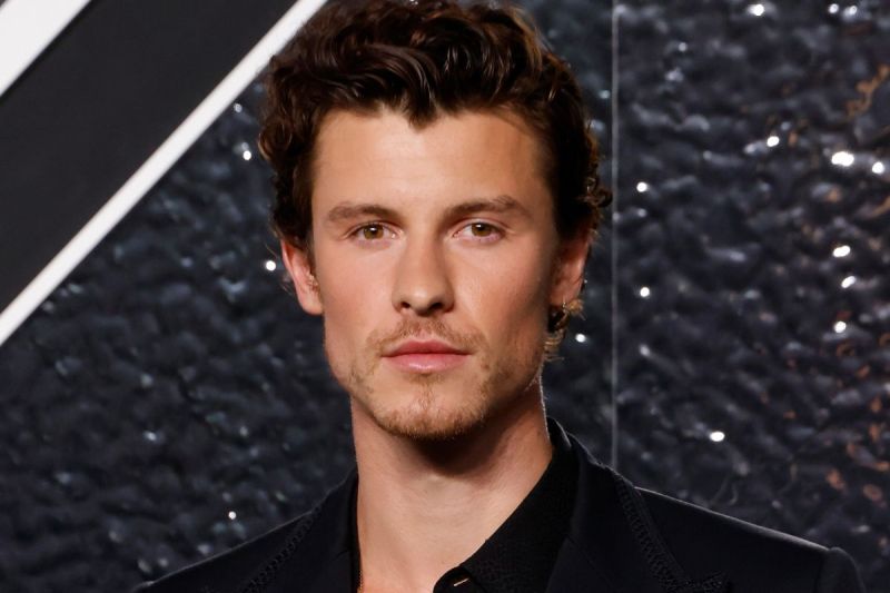 shawn-mendes-instagram-official-partner
