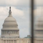 us-congresswoman-son-arrest
