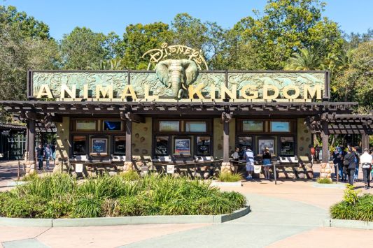 walt-disney-world-guests-get-into-a-brawl-while-in-line-for-major-ride
