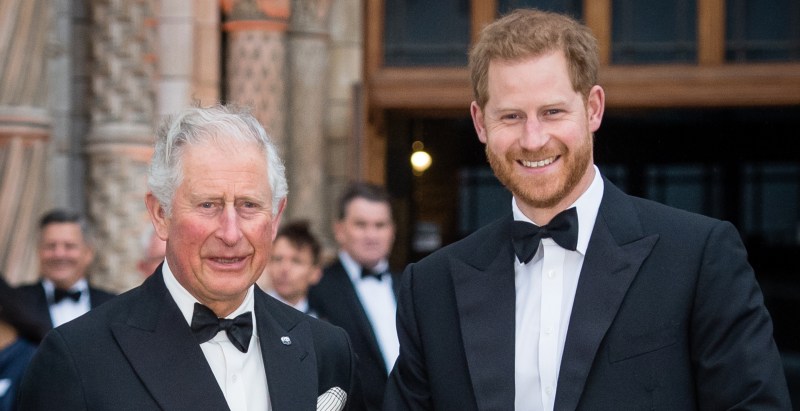 King Charles' Reported Reaction to Prince Harry's UK Returned Revealed